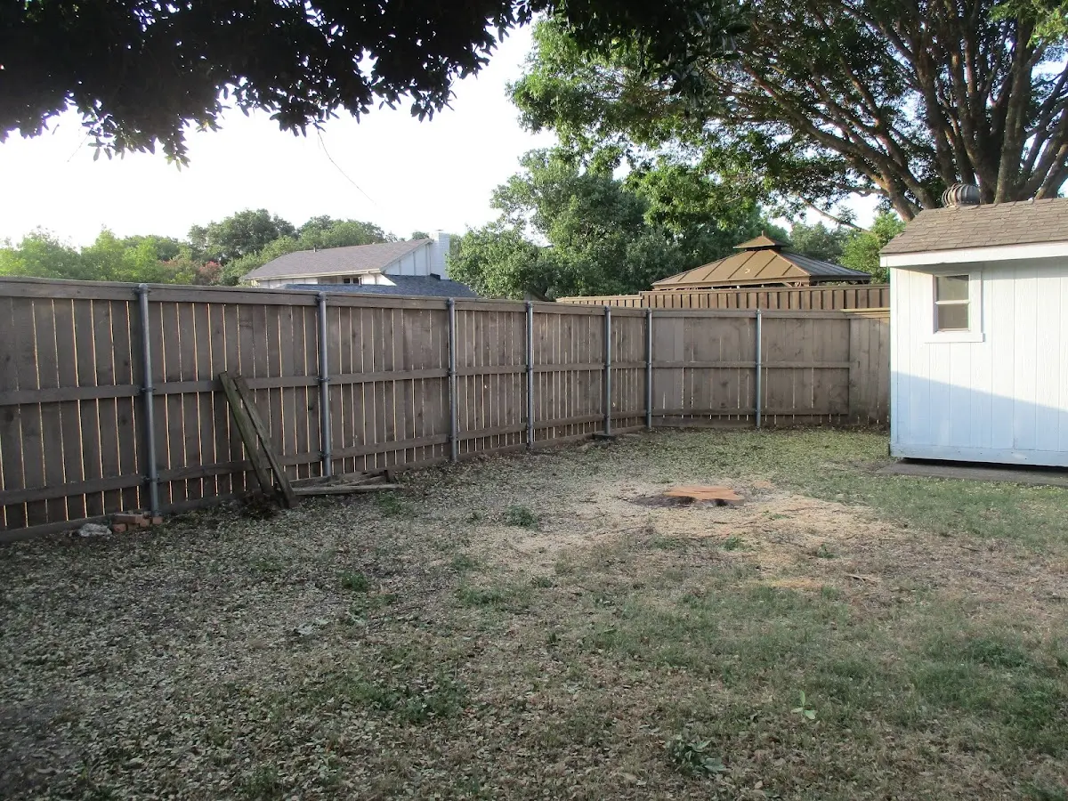 Cleared yard after professional tree removal in Tarentum